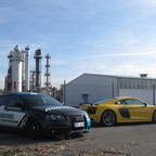 Kleines Shooting