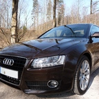 Frisch poliert mit Collinite Insulator Wax #845