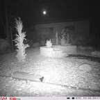 Unser Löcher-Buddler im Garten ^^