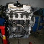 Bild1