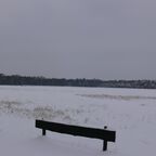 Schneefliegen am 02.01.2010