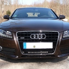 Frisch poliert mit Collinite Insulator Wax #845