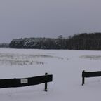 Schneefliegen am 02.01.2010